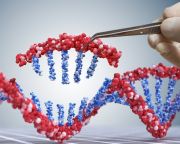 Előre nem látott génmutációkat idézhetett elő a génszerkesztés a kínai babáknál